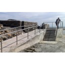 Stairs Handrail